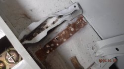 181029 79 Pontiac Trans Am (13).JPG